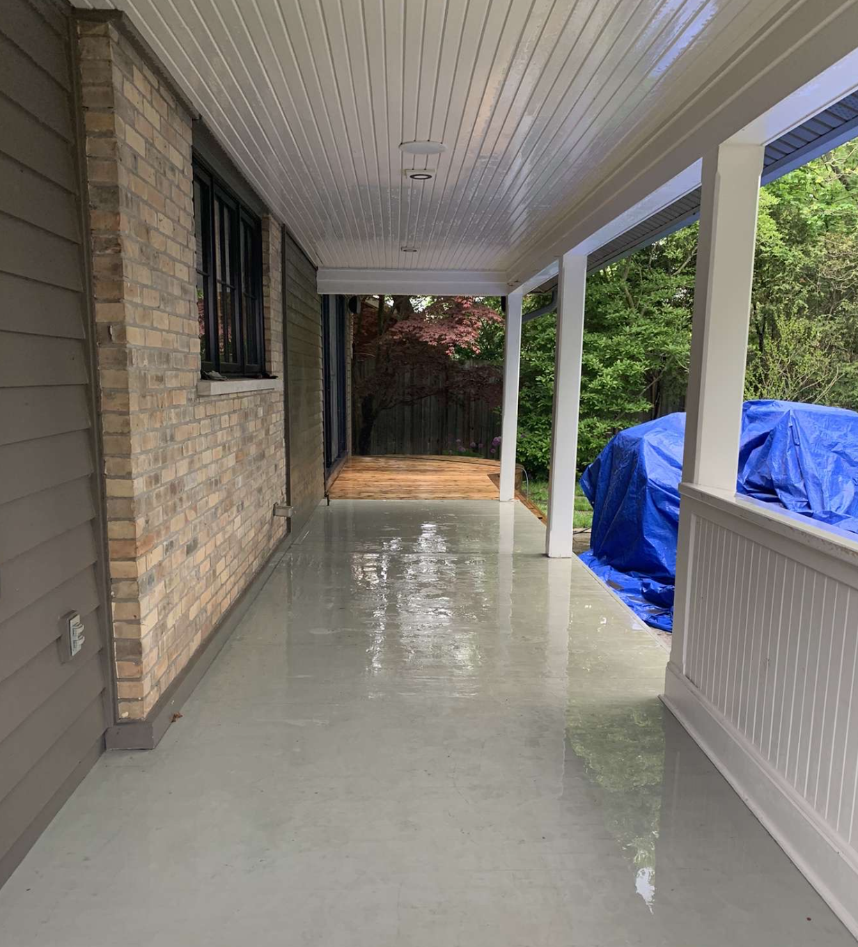 Deck after softwashing